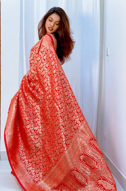 Red color Zari Golden Weaving Rich Saree